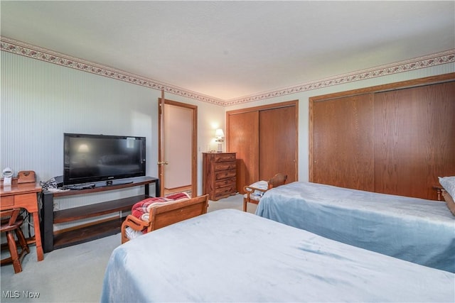 4561 Industry Rd, Ravenna, OH 44266 - bedroom with multiple closets and light carpet