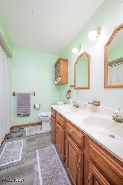 4561 Industry Rd, Ravenna, OH 44266 - full bath with double vanity, a sink, wood finished floors, and toilet