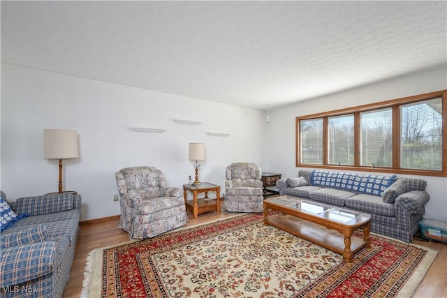 4561 Industry Rd, Ravenna, OH 44266 - living area with a textured ceiling and wood finished floors
