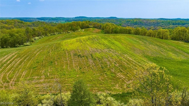 S Leedom Rd, Chandlersville, OH 43727