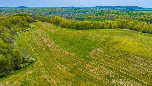 S Leedom Rd, Chandlersville, OH 43727