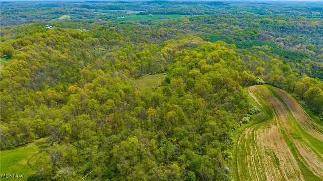 S Leedom Rd, Chandlersville, OH 43727