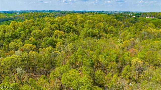 S Leedom Rd, Chandlersville, OH 43727