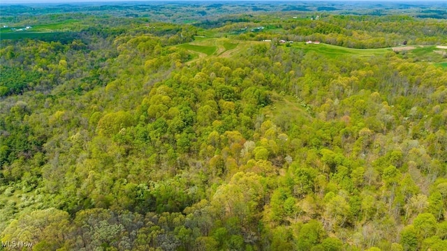 S Leedom Rd, Chandlersville, OH 43727