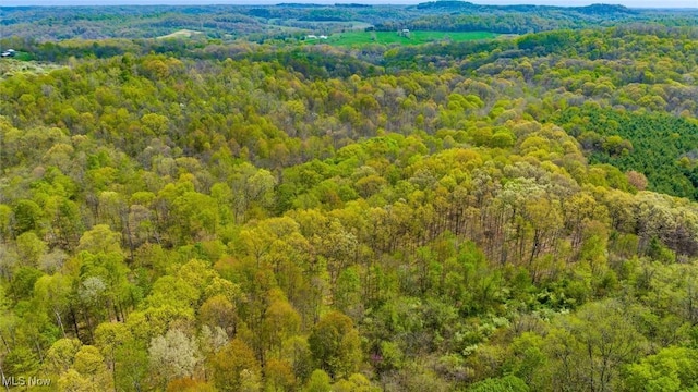 S Leedom Rd, Chandlersville, OH 43727