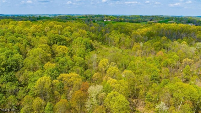 S Leedom Rd, Chandlersville, OH 43727