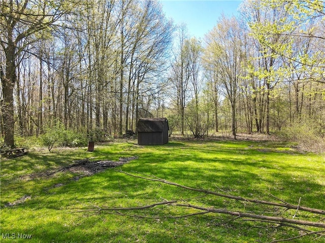 view of yard with a storage unit and an outdoor structure