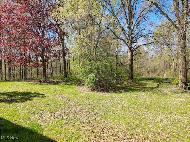 view of yard with a view of trees