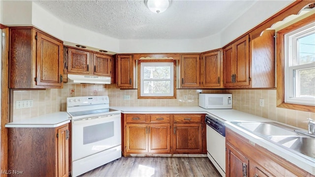 kitchen with brown cabinetry, light countertops, under cabinet range hood, and white appliances