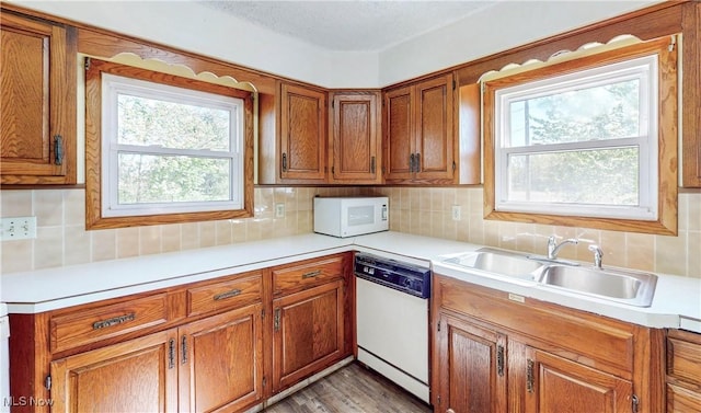 kitchen with a sink, brown cabinets, white appliances, and light countertops