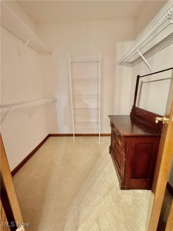 2457 Barrington Way Unit 316, Wooster, OH 44691 - spacious closet with light carpet