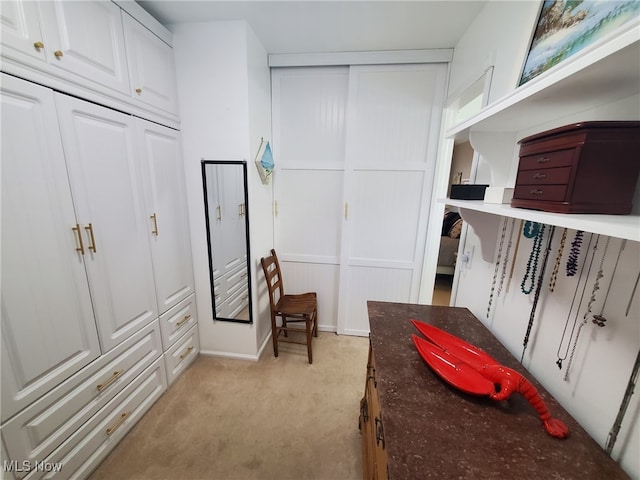 interior space featuring light carpet