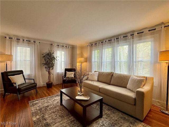 living room featuring baseboards, a wealth of natural light, and hardwood / wood-style floors