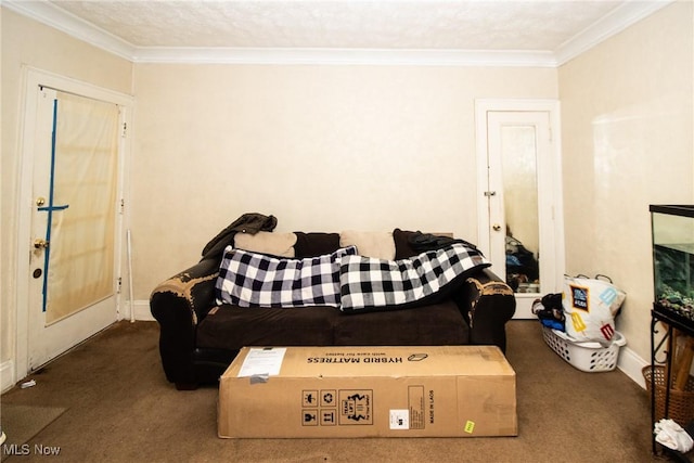 carpeted living area featuring baseboards and ornamental molding