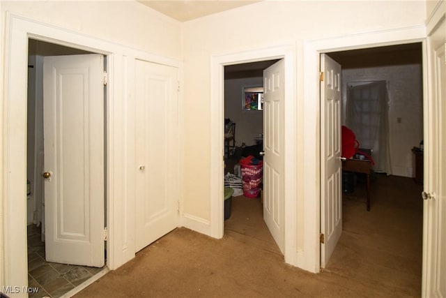 corridor featuring carpet floors