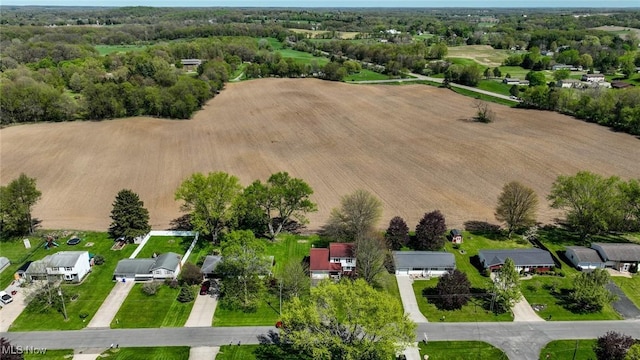 drone / aerial view