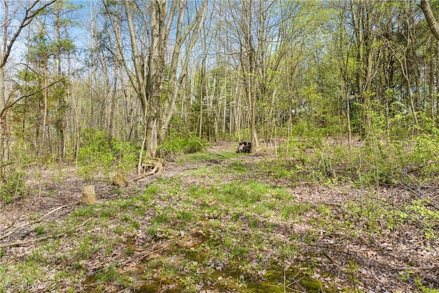 view of local wilderness featuring a forest view