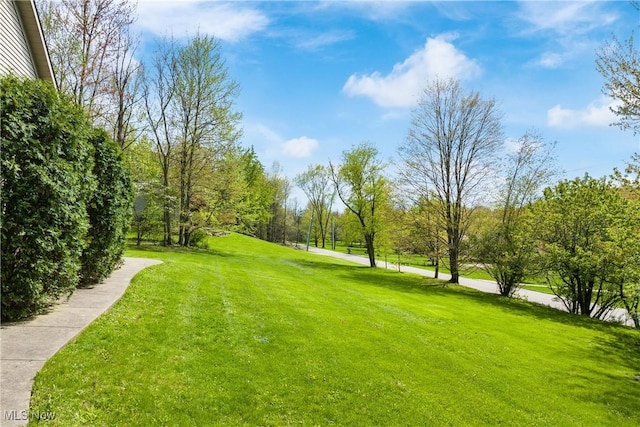 view of property's community featuring a lawn