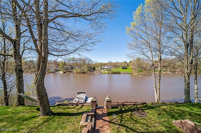 1432 Lake Vue Dr, Roaming Shores, OH 44085 - property view of water featuring a boat dock
