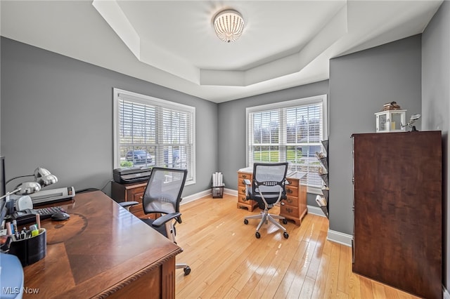 1432 Lake Vue Dr, Roaming Shores, OH 44085 - home office with light wood-style floors, baseboards, and a tray ceiling