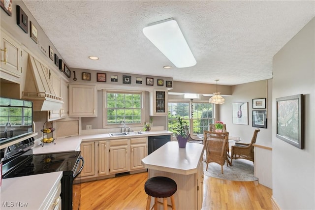 5420 Crystal Cove Cir, Stow, OH 44224 - kitchen with a sink, light countertops, light brown cabinetry, and black appliances