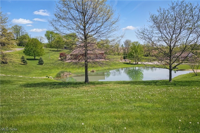 16544 Davis Dr, Calcutta, OH 43920 - view of community with a lawn and a water view