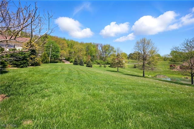 16544 Davis Dr, Calcutta, OH 43920 - view of yard