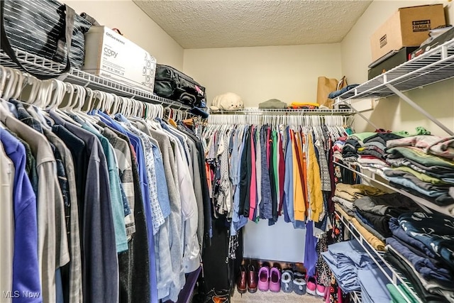 view of walk in closet
