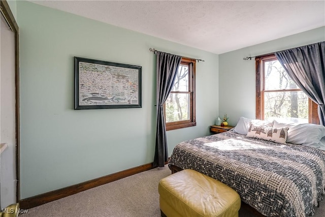 bedroom featuring carpet floors, baseboards, and multiple windows