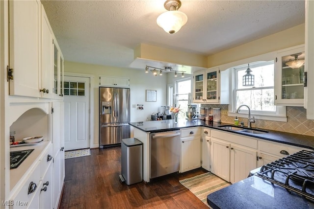kitchen featuring dark wood-style flooring, a peninsula, a healthy amount of sunlight, a sink, and appliances with stainless steel finishes