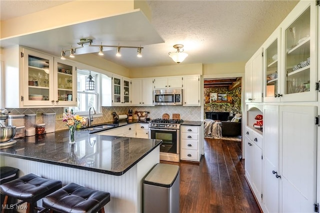 kitchen with backsplash, a sink, a peninsula, stainless steel appliances, and dark wood-type flooring