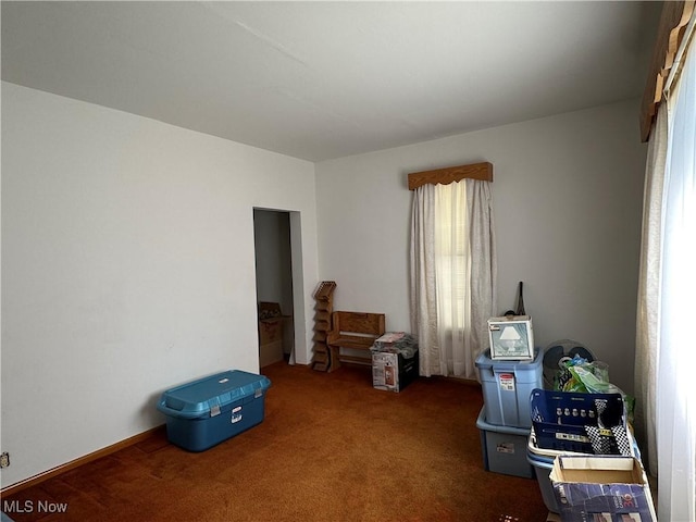 misc room featuring carpet flooring