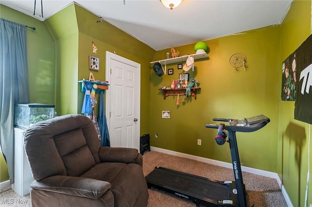 294 Jennings Ave, Salem, OH 44460 - exercise area with baseboards and carpet flooring