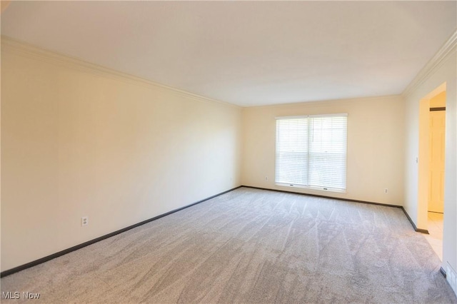 spare room with crown molding, carpet flooring, and baseboards