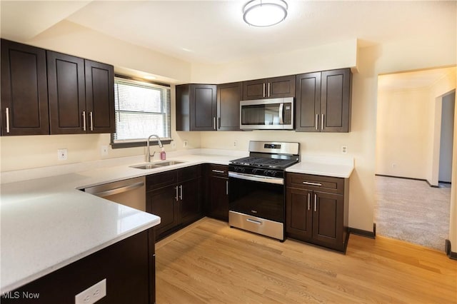 kitchen with dark brown cabinetry, light wood-type flooring, light countertops, a sink, and stainless steel appliances