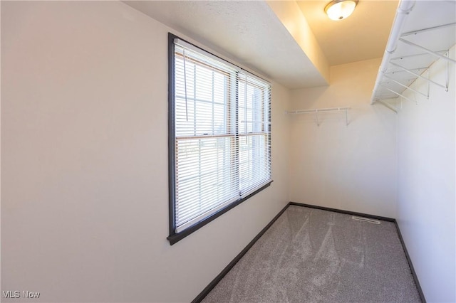 walk in closet featuring carpet flooring and visible vents