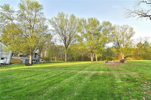 11680 Walnut Ave NE, Alliance, OH 44601 - view of yard