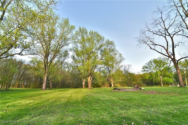 11680 Walnut Ave NE, Alliance, OH 44601 - view of yard