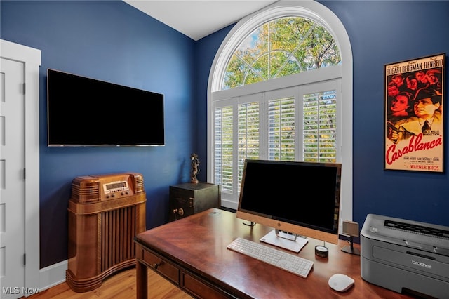 office featuring wood finished floors