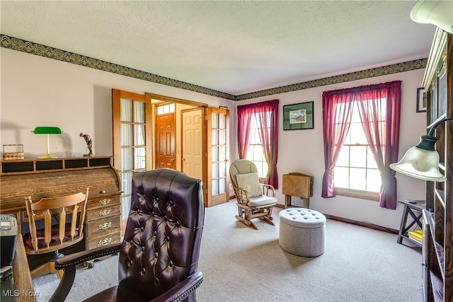 living area with a textured ceiling and carpet