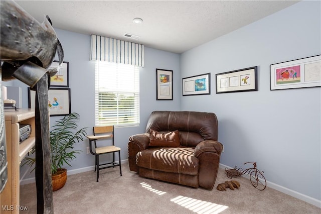 3939 Higgins Dr, Norton, OH 44203 - sitting room featuring visible vents, carpet, and baseboards