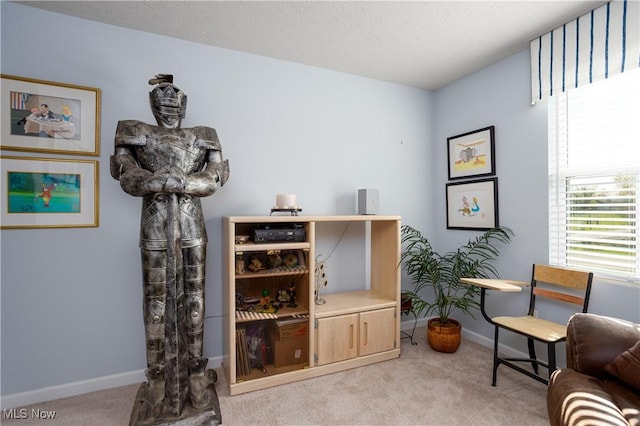 3939 Higgins Dr, Norton, OH 44203 - sitting room featuring carpet floors and baseboards