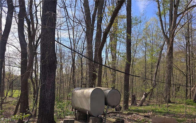 5961-5971 Streeter, Mantua, OH 44255 - view of yard featuring a view of trees and heating fuel