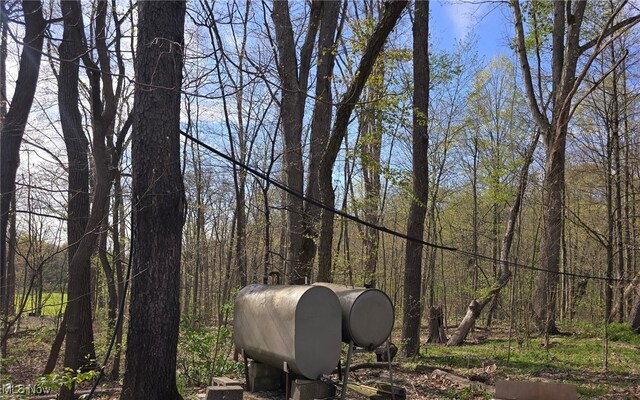 5961-5971 Streeter, Mantua, OH 44255 - photo 4