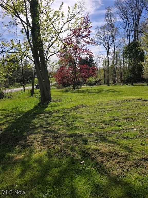 5961-5971 Streeter, Mantua, OH 44255 - view of yard