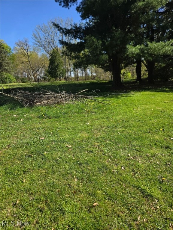 5961-5971 Streeter, Mantua, OH 44255 - view of yard