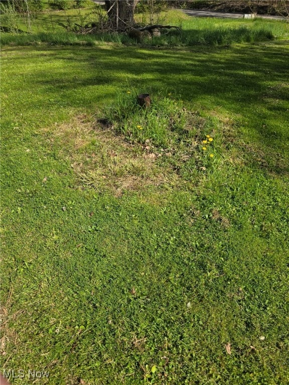 5961-5971 Streeter, Mantua, OH 44255 - view of yard