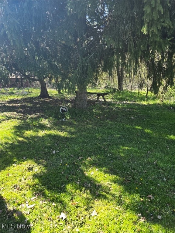5961-5971 Streeter, Mantua, OH 44255 - view of yard