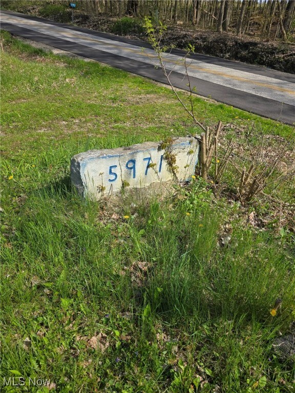 5961-5971 Streeter, Mantua, OH 44255 - photo 11