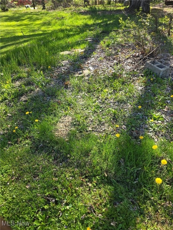 5961-5971 Streeter, Mantua, OH 44255 - view of yard